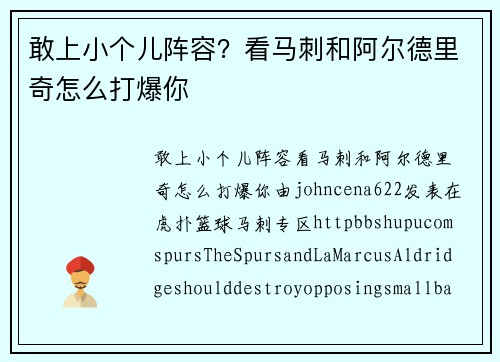 敢上小个儿阵容？看马刺和阿尔德里奇怎么打爆你